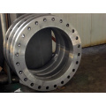 Customized Stainless Steel Forged Flange